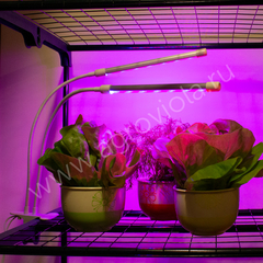 ECOTEC Светильник для растений на прищепке, с пультом и таймером, 20 Вт, белый  корпус