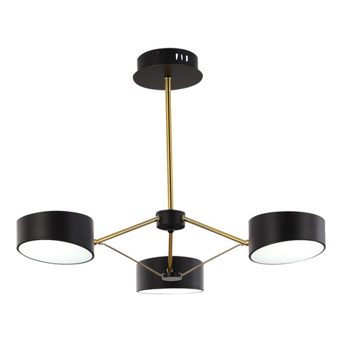 Светильник потолочный Evoluce Valle SLE6005-402-03