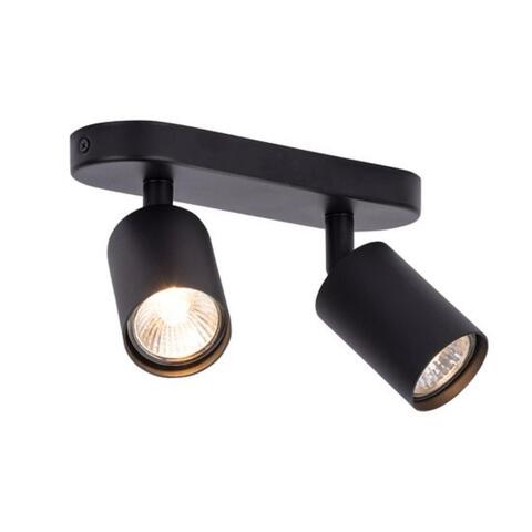 Настенно-потолочный светильник Arte Lamp AQUARIUS A3226PL-2BK