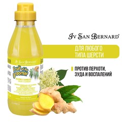 ISB Fruit of the Groomer Ginger&Elderbery шампунь для любого типа шерсти против раздражений и перхот