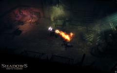 Shadows: Heretic Kingdoms (для ПК, цифровой код доступа)