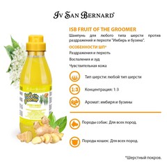 ISB Fruit of the Groomer Ginger&Elderbery шампунь для любого типа шерсти против раздражений и перхот