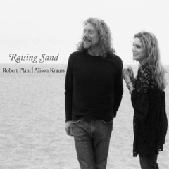 Robert Plant & Alison Krauss / Raising Sand (2LP)