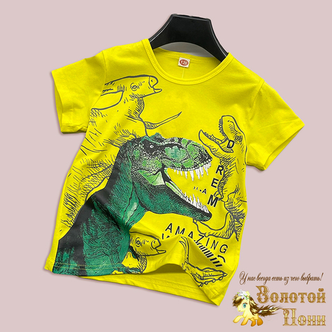 Футболка м (3-7) 250126-W1329