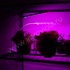 ECOTEC Светильник для растений на прищепке, с пультом и таймером, 20 Вт, белый  корпус