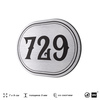 Номерок на дверь квартиры 729, для кабинета, офиса, шильдик 9 х 7 см, серебристый, Айдентика Технолоджи
