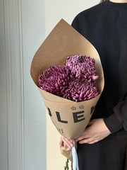 Кулек из одноголовой хризантемы