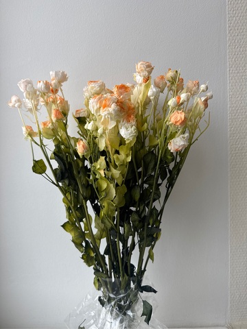 Кустовые розы Белый с персиковым дыханием (упаковка)