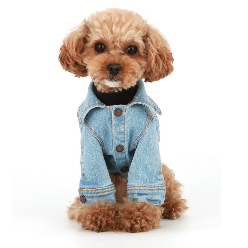 Джинсовая одежда для собак в зоосалоне «Пэтси»