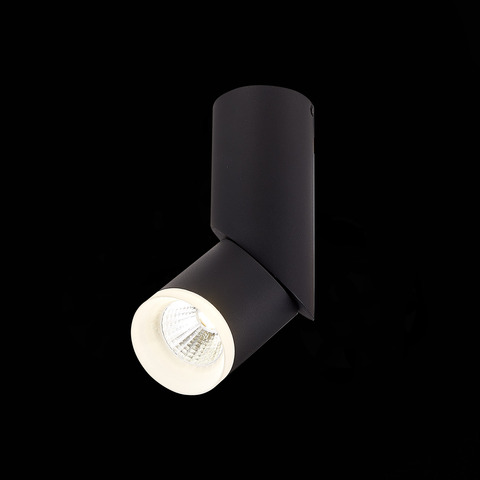 Светильник потолочный ST Luce Tortelle ST107.442.10