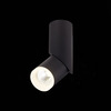 Светильник потолочный ST Luce Tortelle ST107.442.10