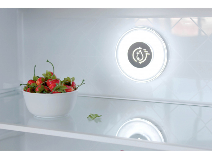 Шкаф комбинированный Бирюса CD 466 BG