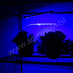 ECOTEC Светильник для растений на прищепке, с пультом и таймером, 20 Вт, белый  корпус