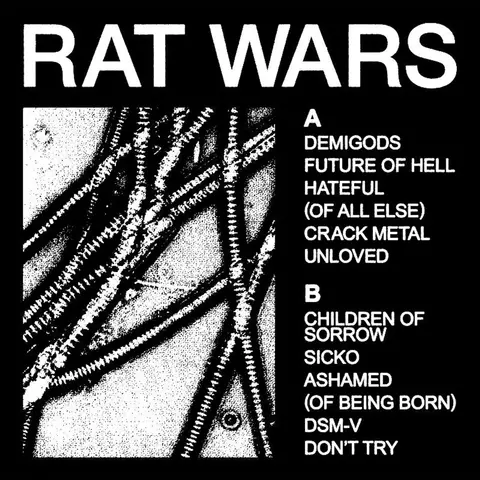 Виниловая пластинка. HEALTH – Rat Wars