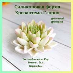 Силикон.форма 