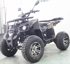 Подростковый электрический квадроцикл Motax ATV GRIZLIK 3000W/3000W R