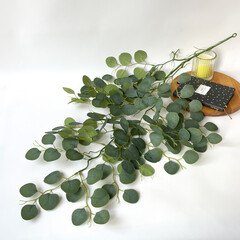 Эвкалипт свисающий, ампельное растение, цвет патина, 94 см, набор 1 шт.