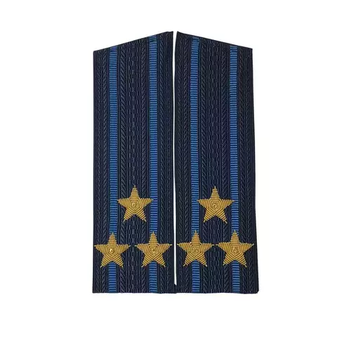 Погоны ВВС/ВКС вышитые полковник (скос)