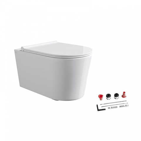 Alice Form 22300101SET Унитаз 50х35см., подвесной, безободковый, с сиденьем и крышкой с микролифтом, с набором для крепления, цвет: белый глянцевый