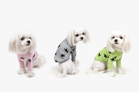 292 Лонгслив "Звезды" / "Star Long Sleeve" Puppy Angel