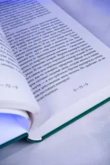 Усопшие. Shiki. Книга 3