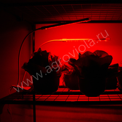 ECOTEC Светильник для растений на прищепке, с пультом и таймером, 20 Вт, белый  корпус