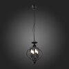 Светильник подвесной ST Luce Foriate SL361.303.04