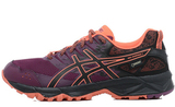 Кроссовки беговые Asics Sonoma 3 G-TX Женские