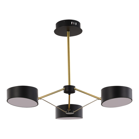 Светильник потолочный Evoluce Valle SLE6005-402-03