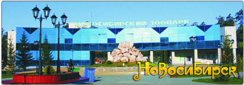 Новосибирск магнит панорамный 115х40 мм №0006