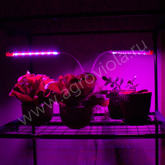 ECOTEC Светильник для растений на прищепке, с пультом и таймером, 20 Вт, белый  корпус