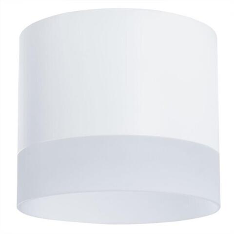 Накладной светильник Arte Lamp CASTOR A5554PL-1WH