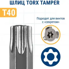 Бита отверточная ПРАКТИКА Профи Torx Tamper-40 х 50мм (2шт), (776-492)