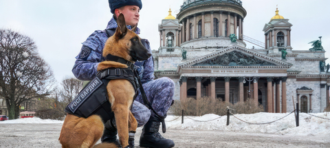 Шлея нагрудная «НОРД»