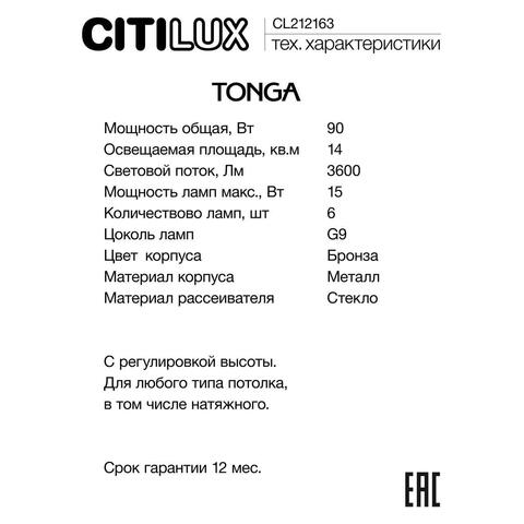 Люстра на штанге Citilux Tonga CL212163