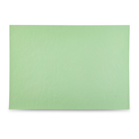 Салфетка подстановочная 30х43см двухсторонняя Rasteli зеленая