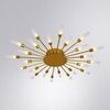 Люстра Arte Lamp Maple A1276PL-24GO