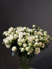 Кустовые розы сорт «Miss Bombastic» (Кения)