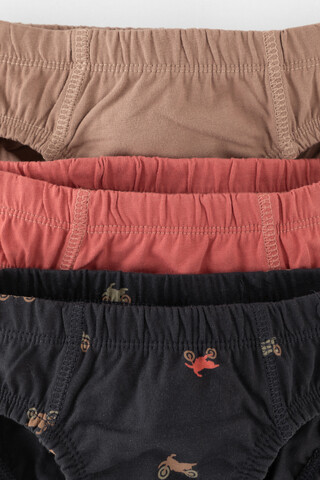 трусы/ уп  для мальчика  К 1966-3уп/холодный какао,пыльный кедр,мотоциклы