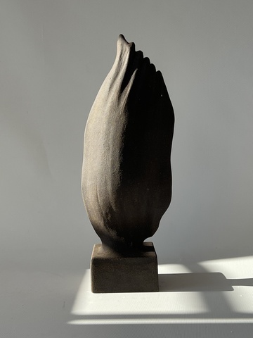 из серии Симбиоты