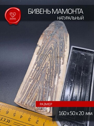 Бивень мамонта для коллекции