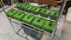 Гидропонный стеллаж для ПОМИДОР 2500х1250х600мм 2 яруса