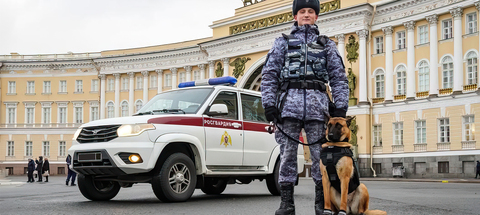 Шлея нагрудная «НОРД»