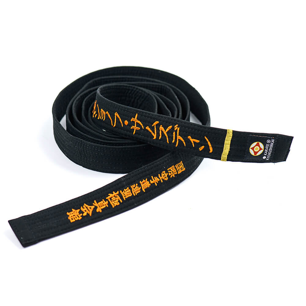 Black Belt каратэ киокушинкай