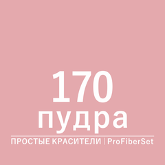 Цвет 170 пудра (ProFiberSet)