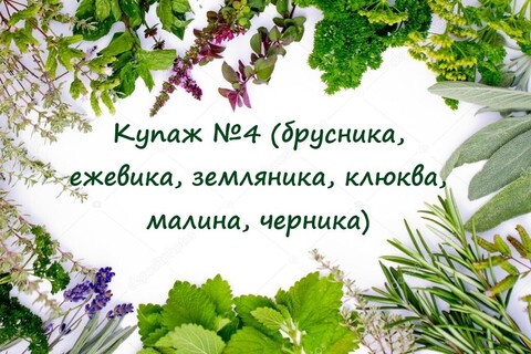 Купаж №4 (брусника, ежевика, земляника, клюква, малина, черника) ПГЭ, 50гр