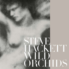 Steve Hackett / Wild Orchids (2LP)