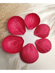 Молды пластиковые Набор М12-2 лепестки пиона