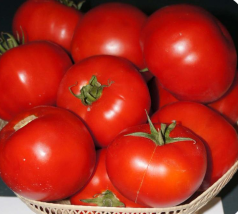 Томат ТМА J666