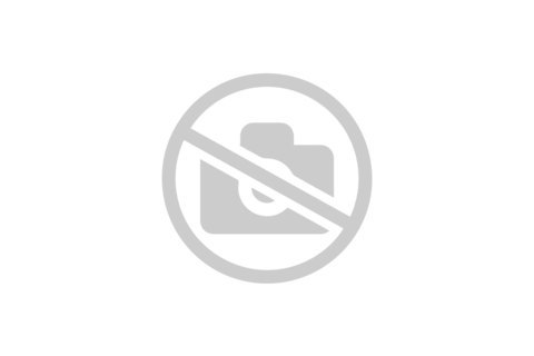 Шпиндель 25 мм для распашного привода СИЛАЧ-100